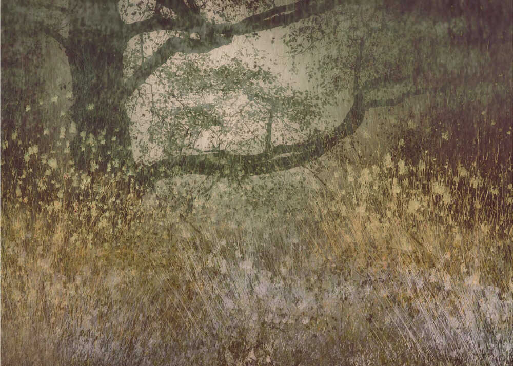 Der Herbst naht | Hintergrundbild