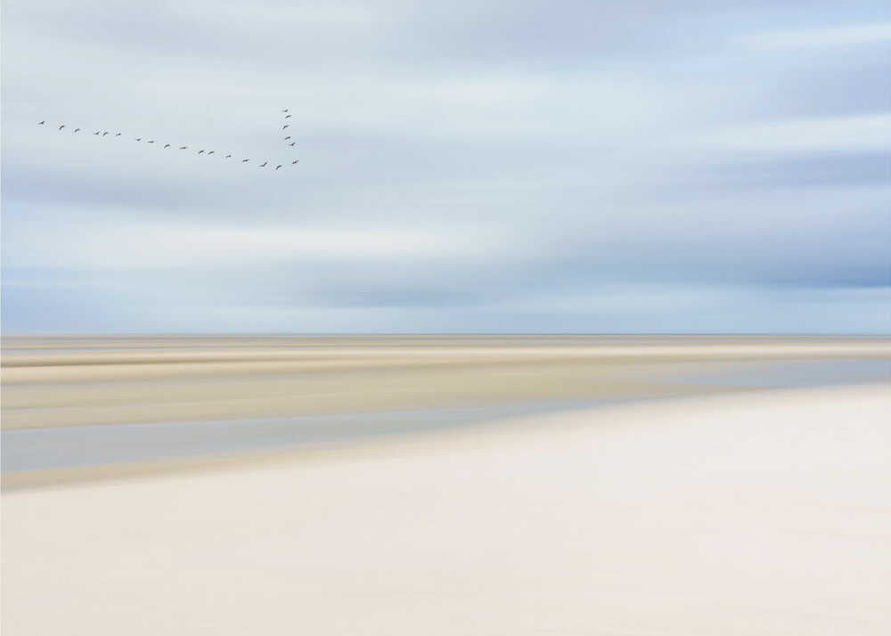 Am Meer III | Hintergrundbild