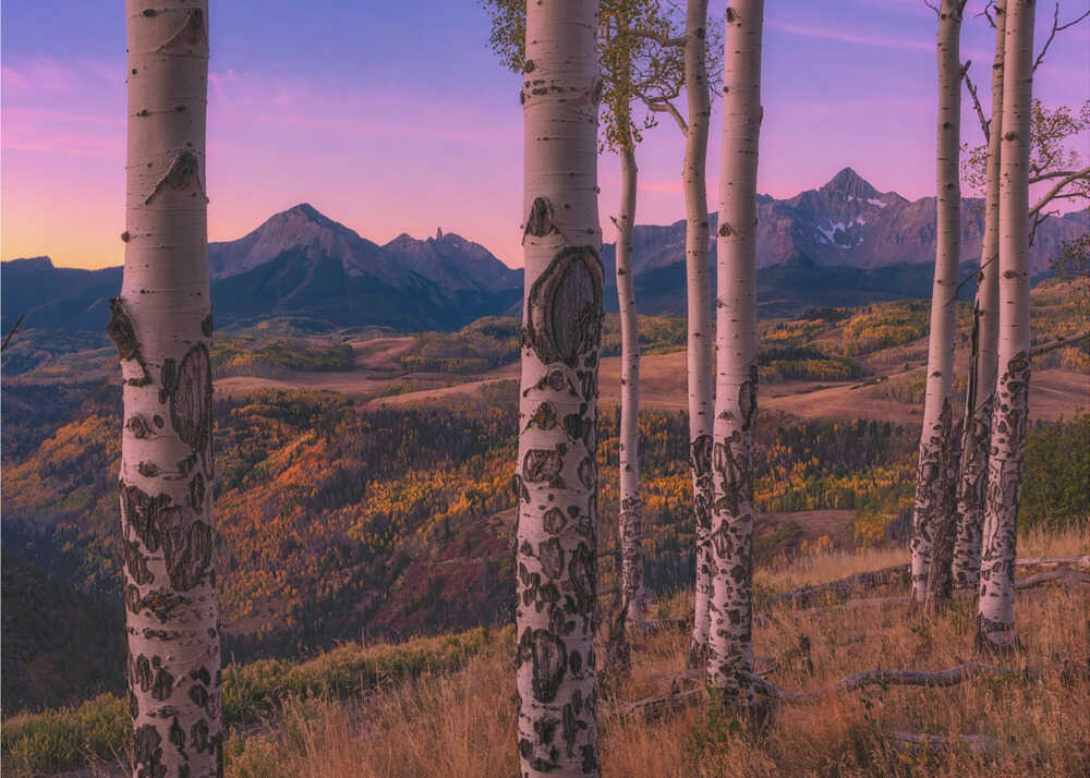 Aspen-Rahmen | Tapeten