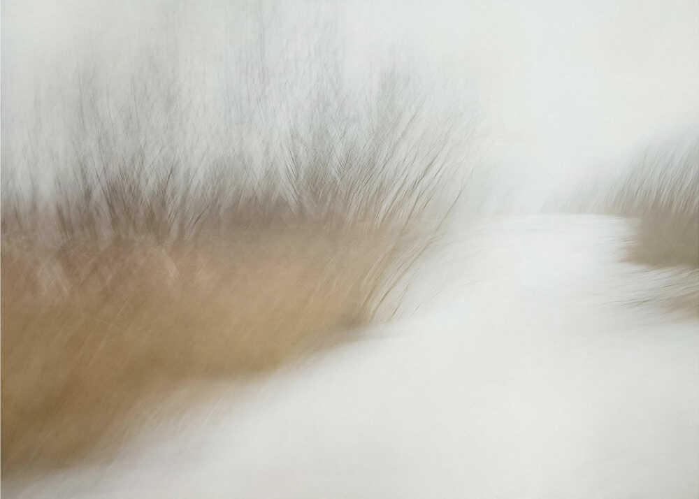 Wintertime | Wallpaper