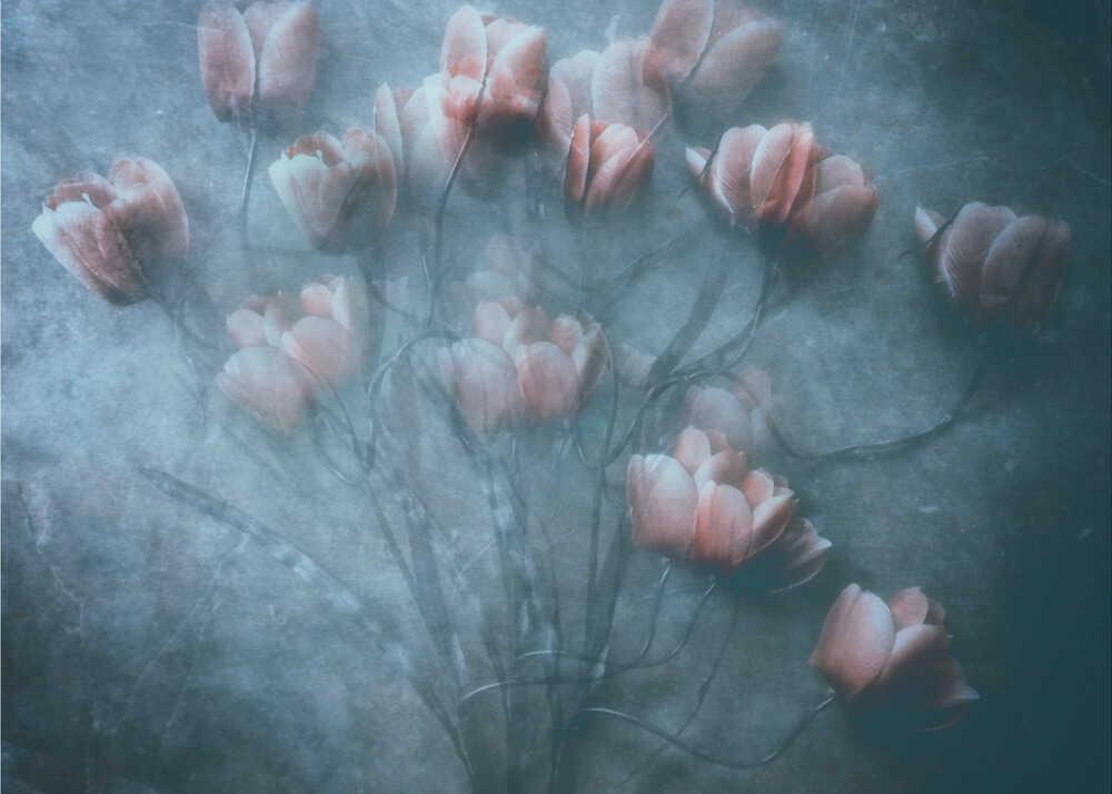 Unsere Liebe wird dieselbe bleiben | Leinwand