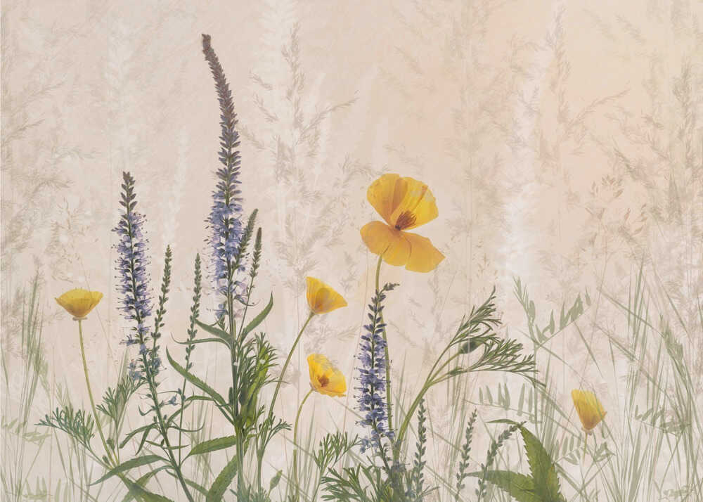 Von Blumen träumen | Leinwand