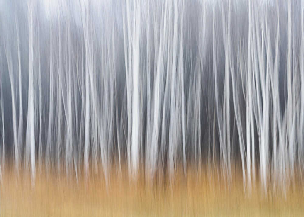 Herbststimmung | Hintergrundbild