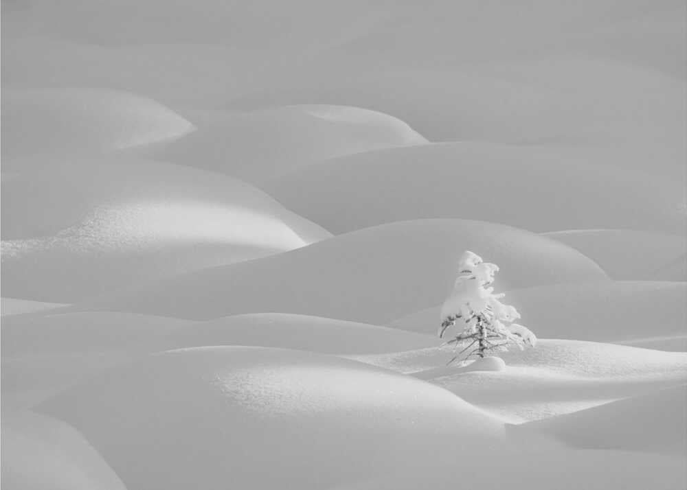 Allein | Hintergrundbild