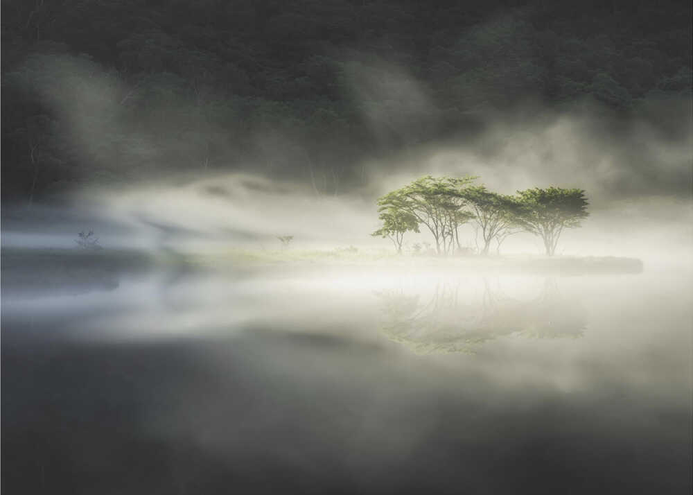 Yin et yang | Fond d'écran