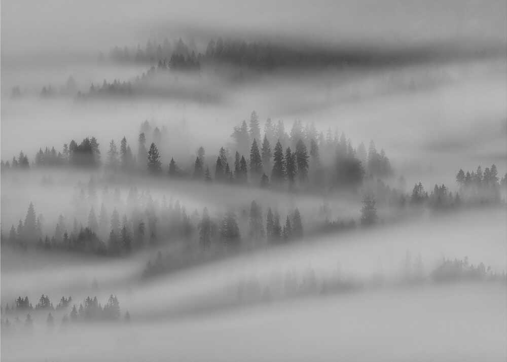 Herbstimpressionen | Hintergrundbilder