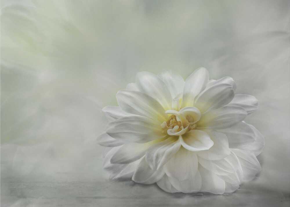 Sei freundlich | Leinwand