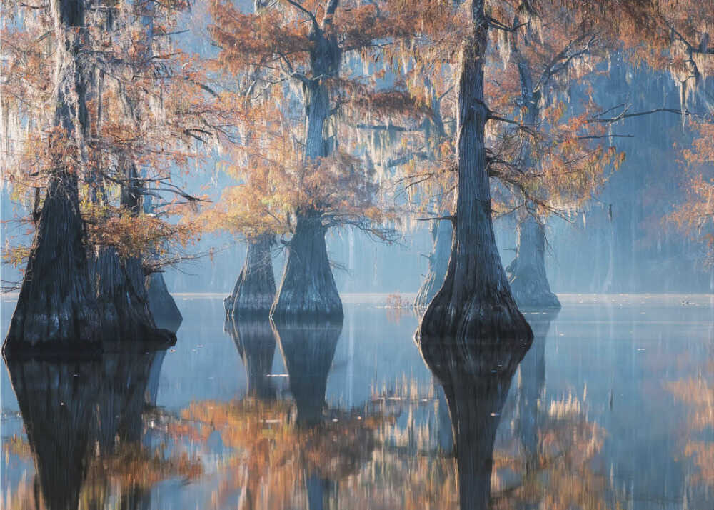 Ewige Erscheinungen | Hintergrundbild