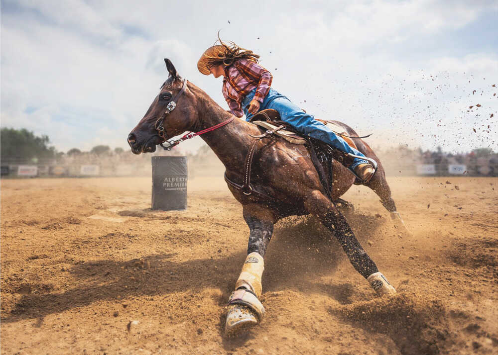 Slam on the Brakes | Poster