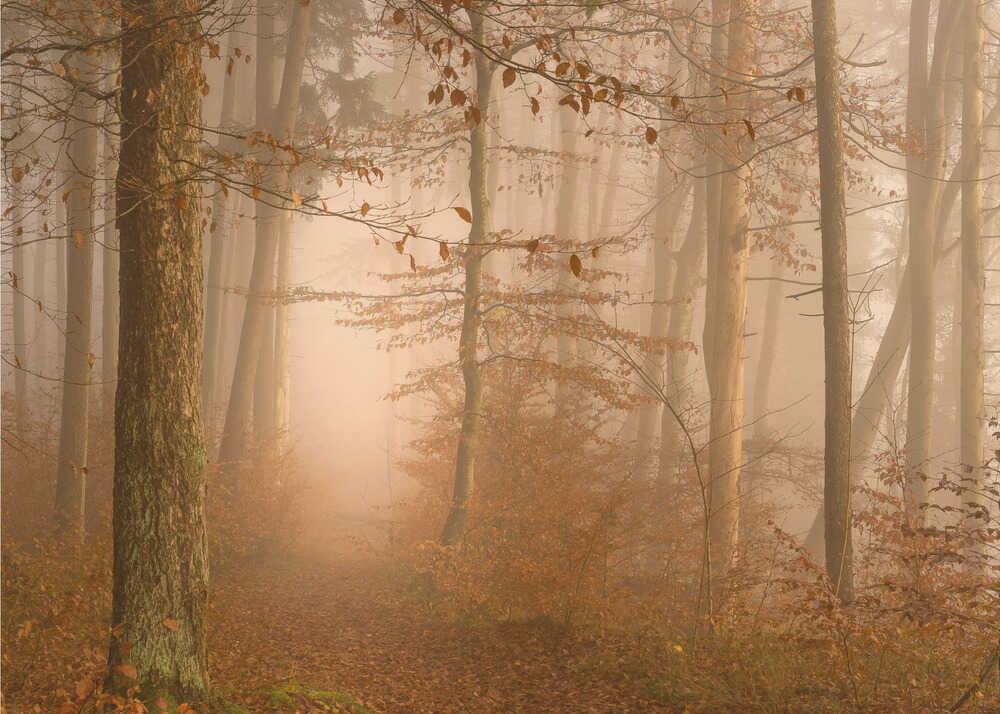 Ein Jahr ist vergangen | Hintergrundbild