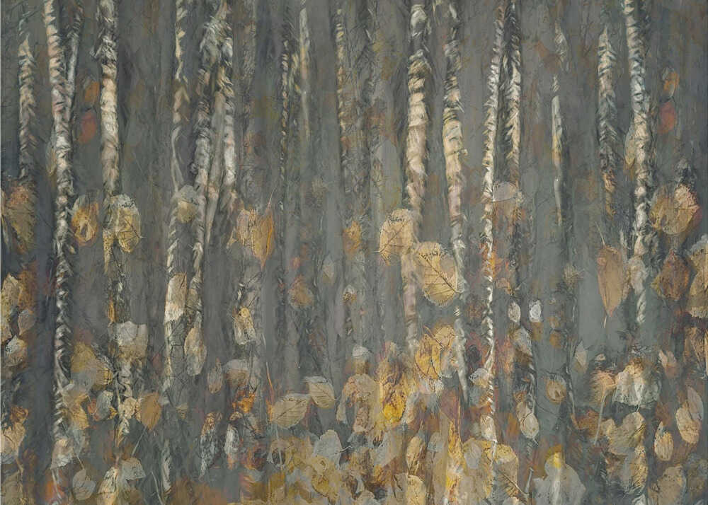 Herbst | Hintergrundbild