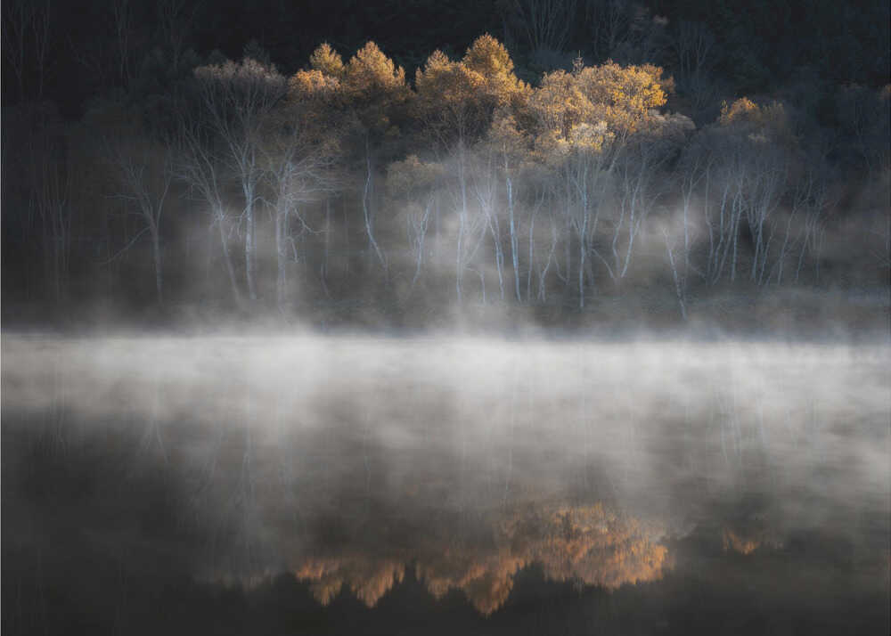 晩秋の光に誘われて | Wallpaper