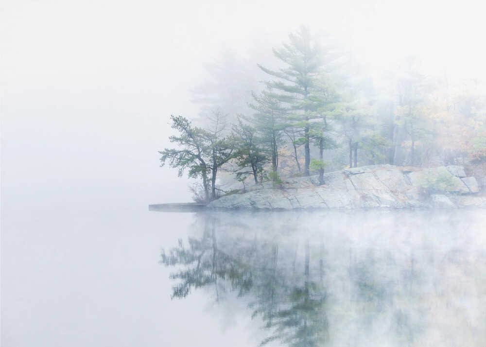 Herbstnebel | Hintergrundbild