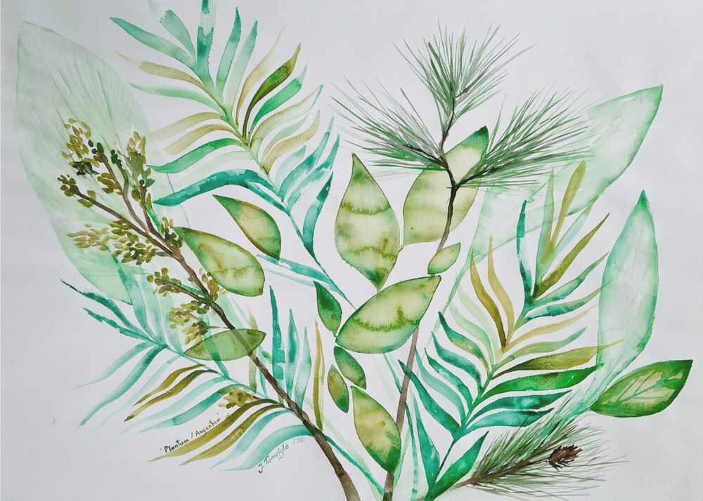 Plantum Argentum | Poster