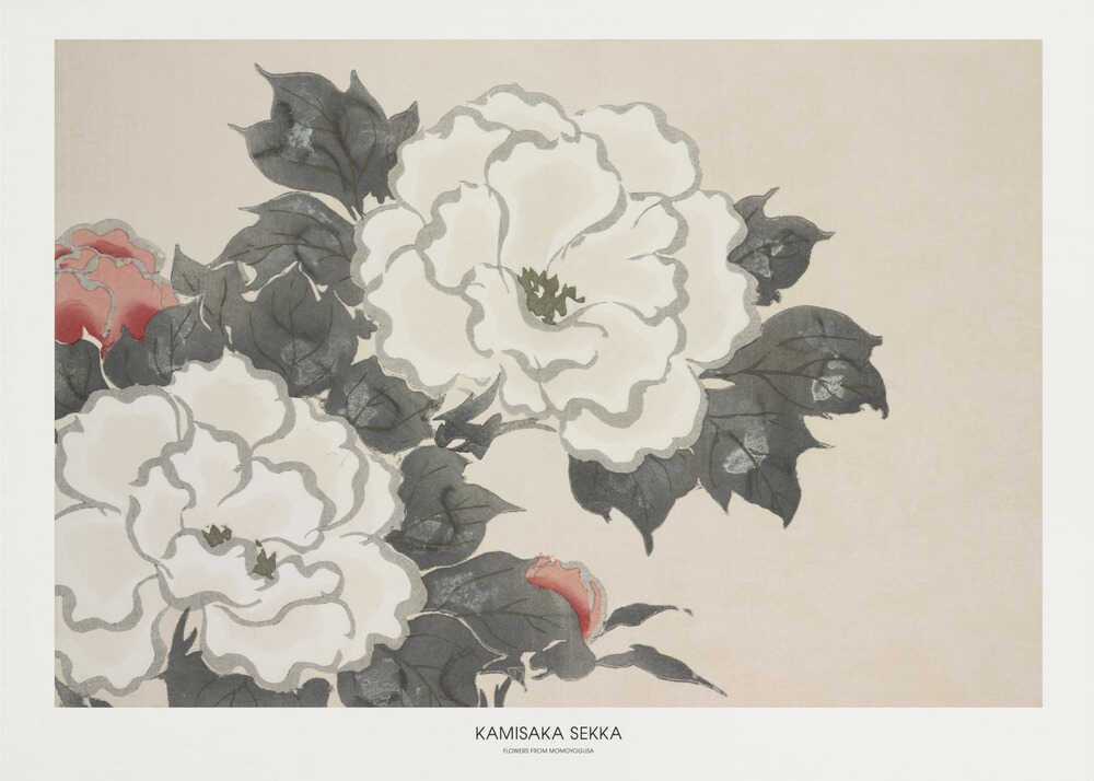 Flowers From Momoyogusa | Canvas