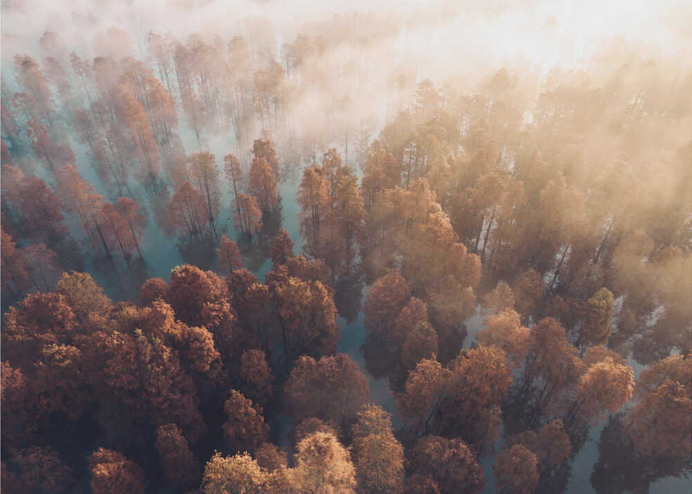 Herbst | Hintergrundbild