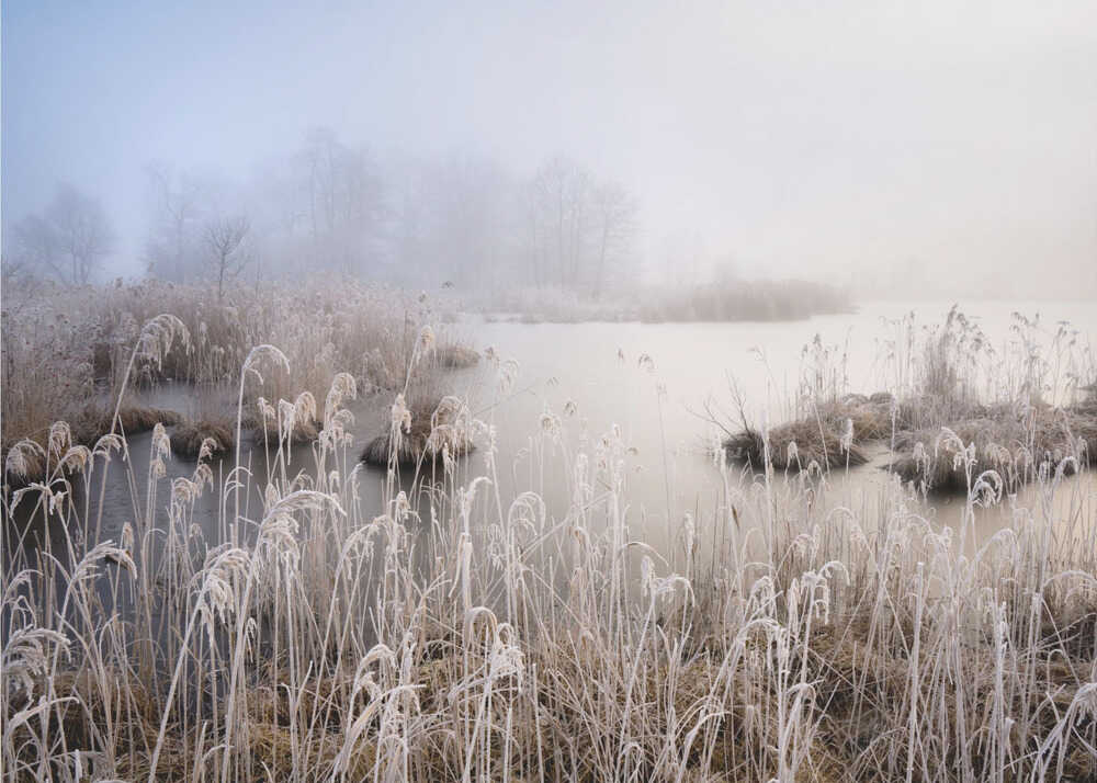 Winter in Bavaria | Wallpaper