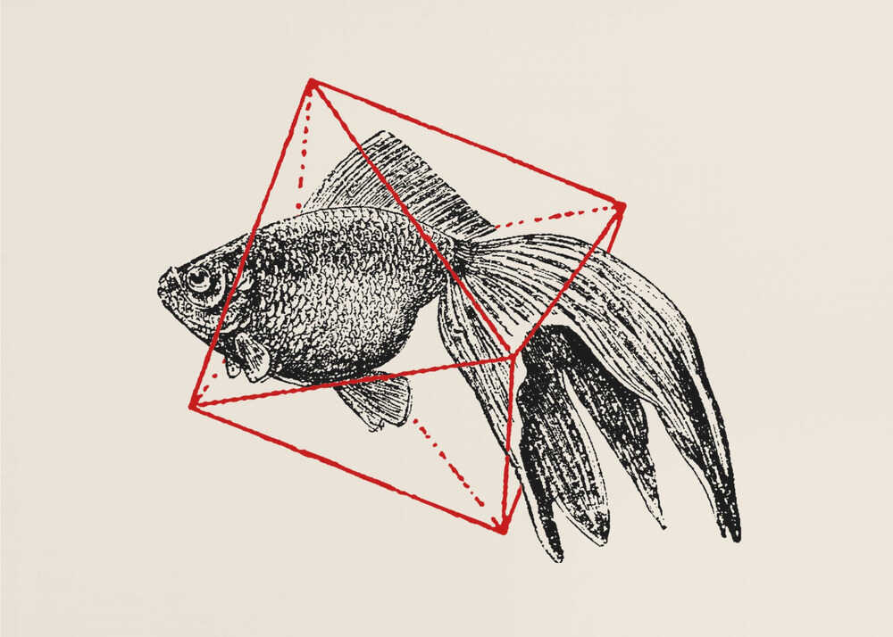 Fish In Geometrics Nº3 | Poster