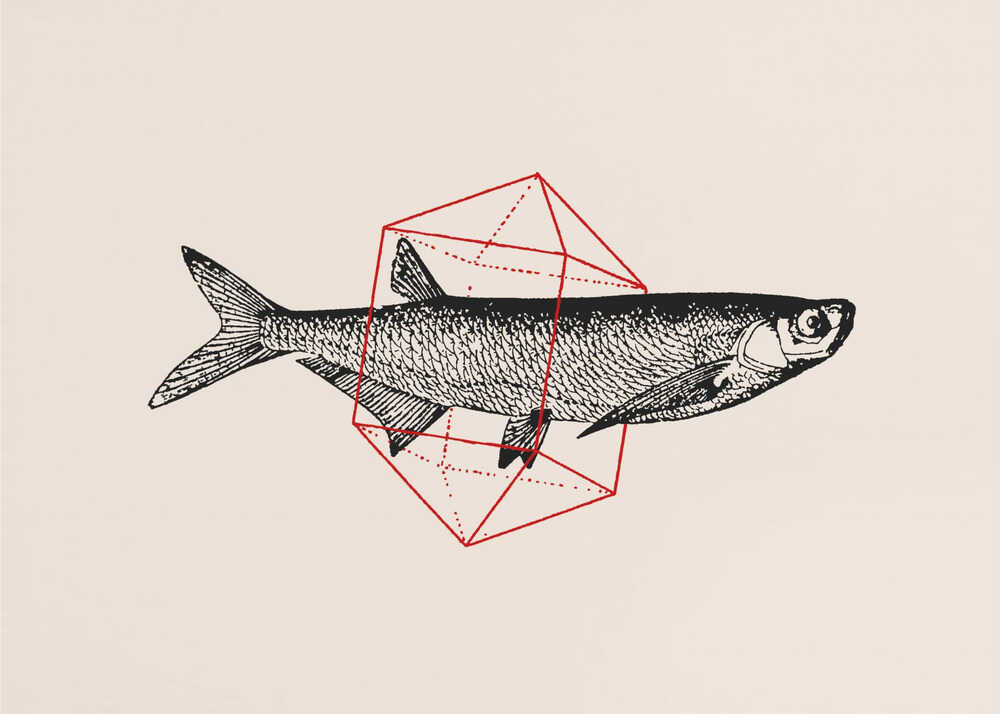 Fish In Geometrics Nº2 | Poster