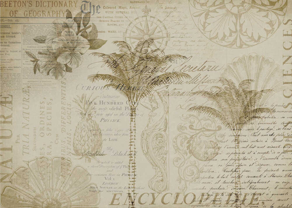 Tropen-Enzyklopädie | Canvas