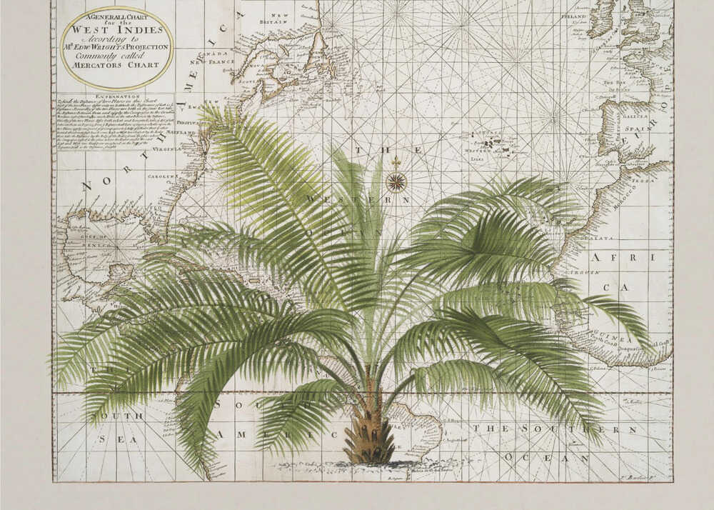 Empire tropical n° 1 | Toile