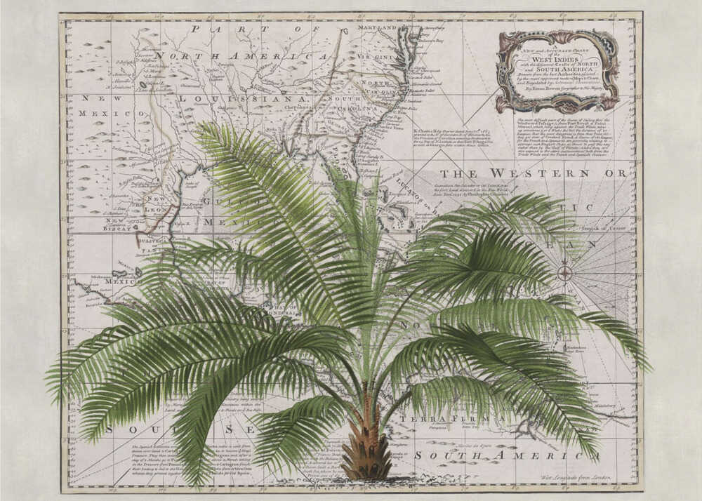 Empire tropical n° 2 | Toile