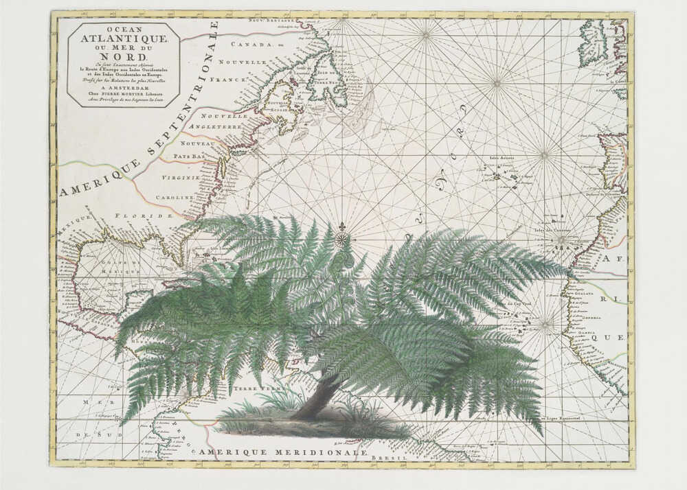 Empire tropical n°4 | Toile