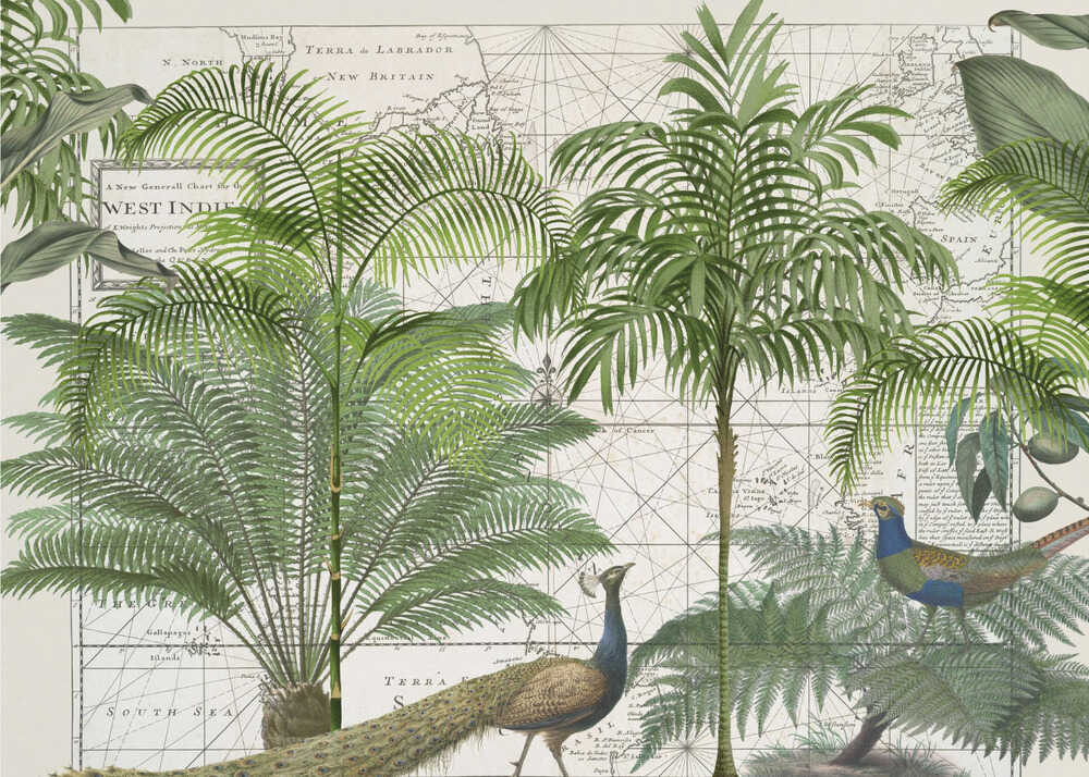 Empire tropical n°6 | Toile