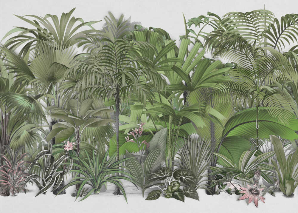 Exotic Wildlife 003 1 | Poster