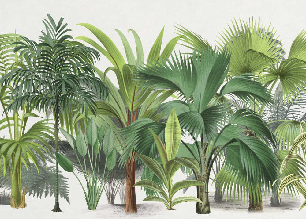 Exotic Wildlife 004 | Poster