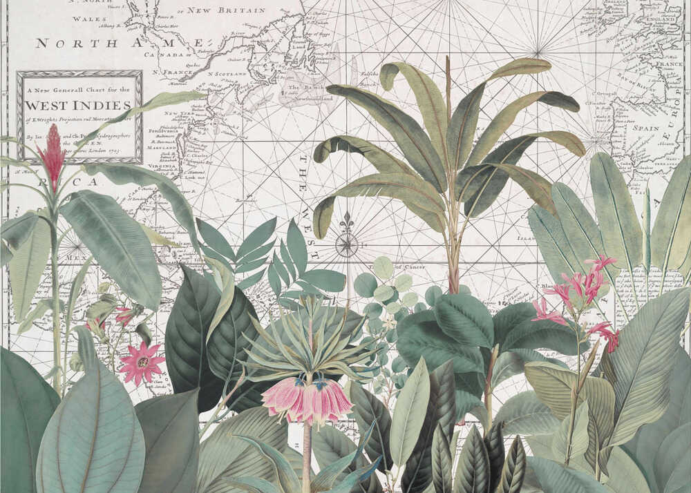 Faune exotique 005 1 | Toile