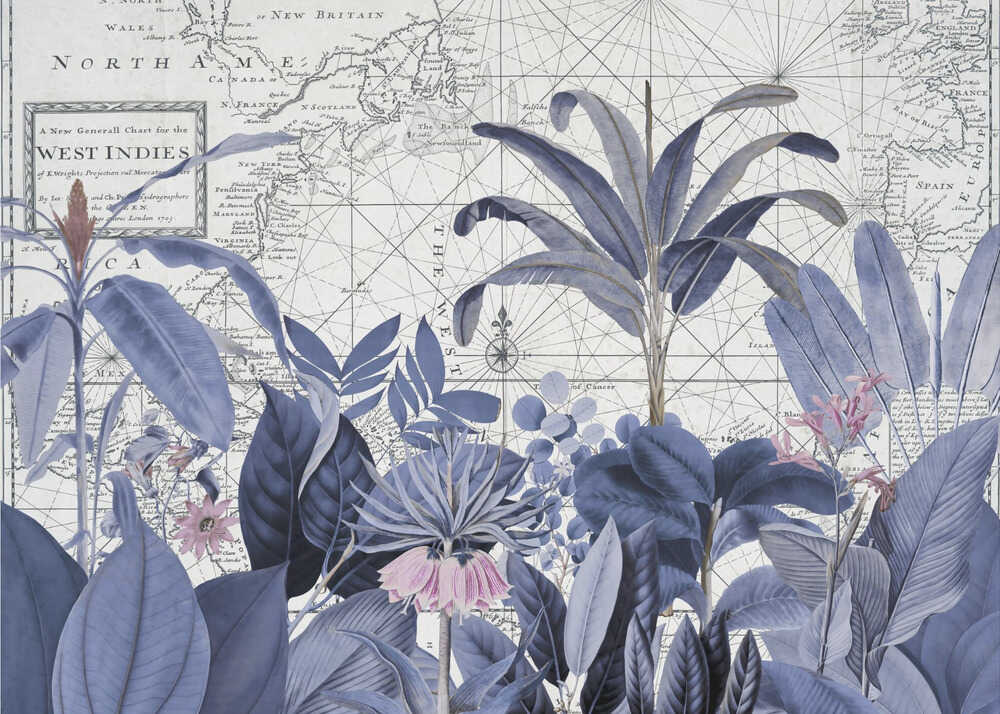 Faune exotique 005 2 | Toile