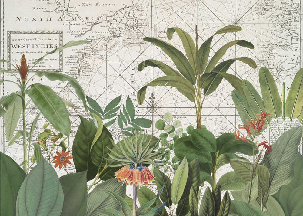 Faune exotique 005 | Toile