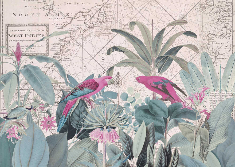 Faune exotique 006 1 | Toile