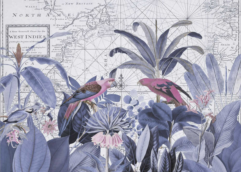 Faune exotique 006 2 | Toile