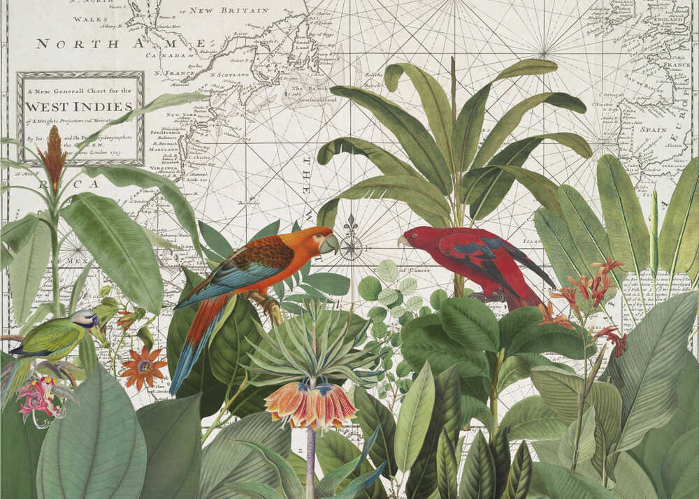 Faune exotique 006 | Toile