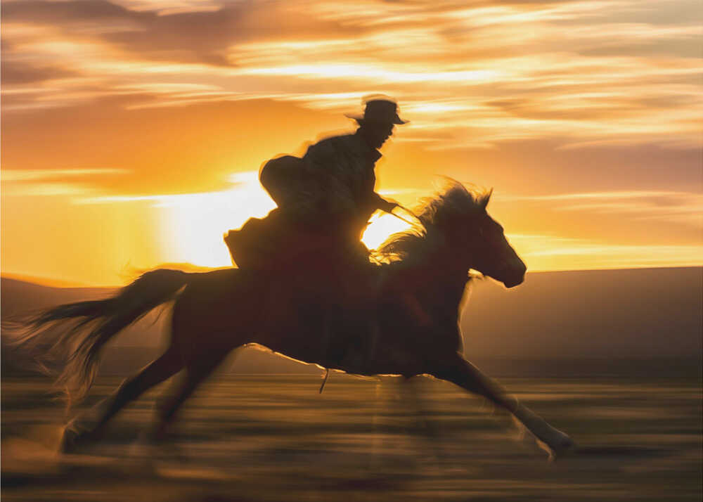 Chasing Hope | Poster