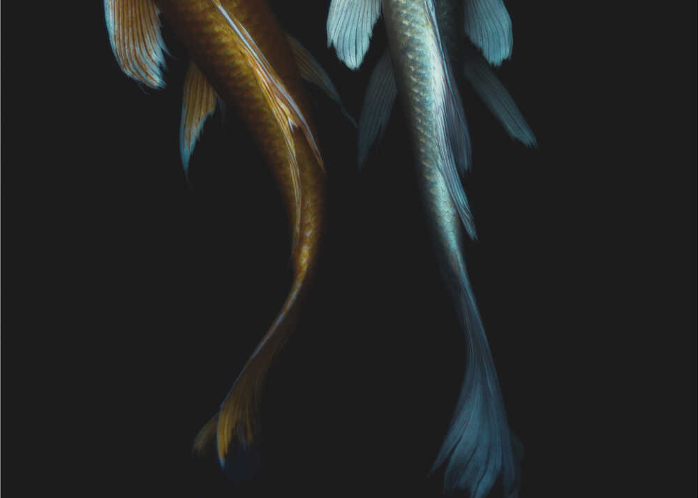 Ein Paar | Hintergrundbild