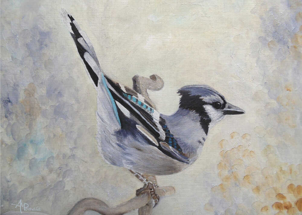 Attitude Derriere Blue Jay | Poster