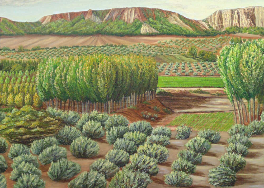 Bright Morning In Alcudia | Poster