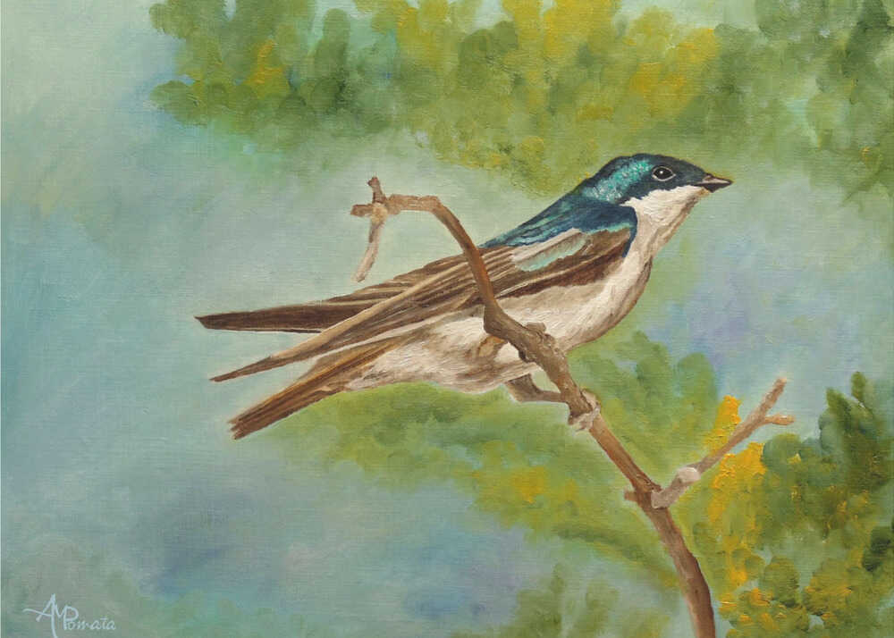 Blue Wonder | Poster