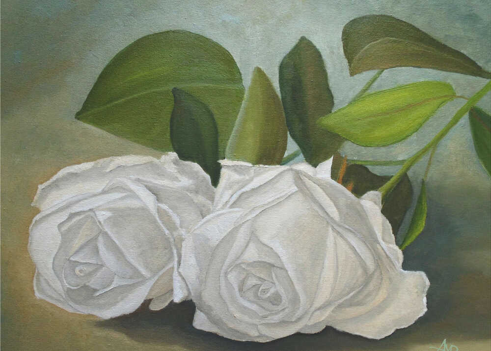 White Roses | Poster