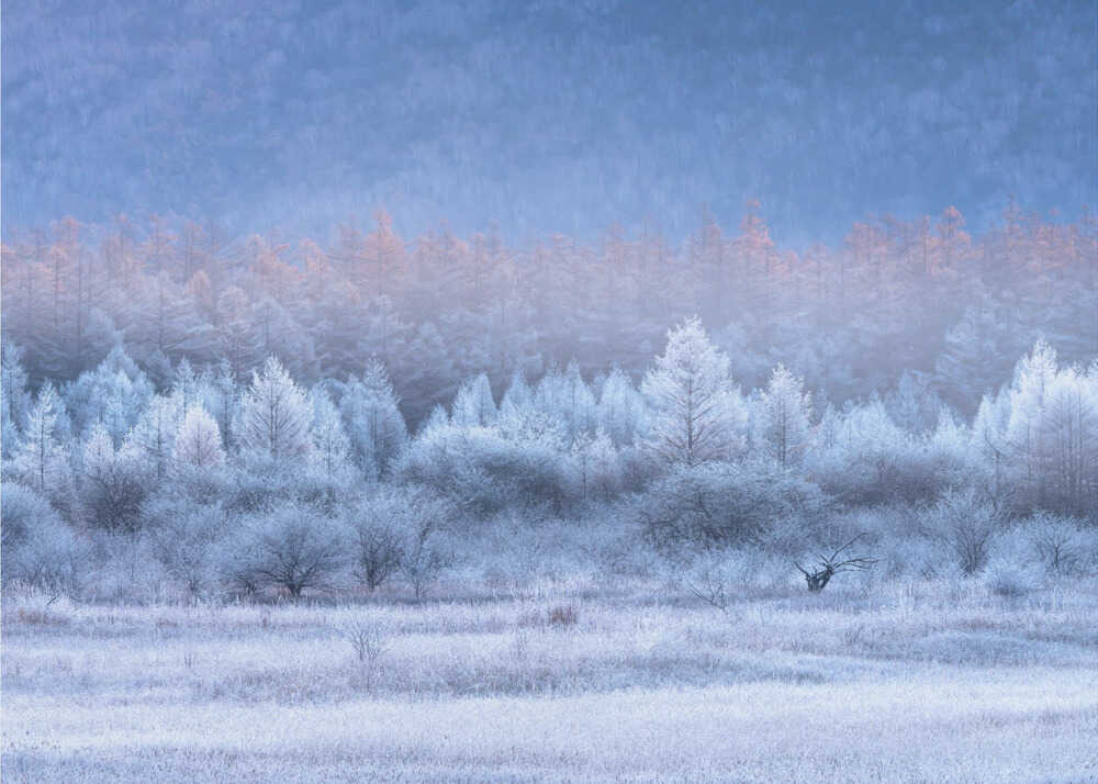 Herbst- und Winterverläufe | Hintergrundbild