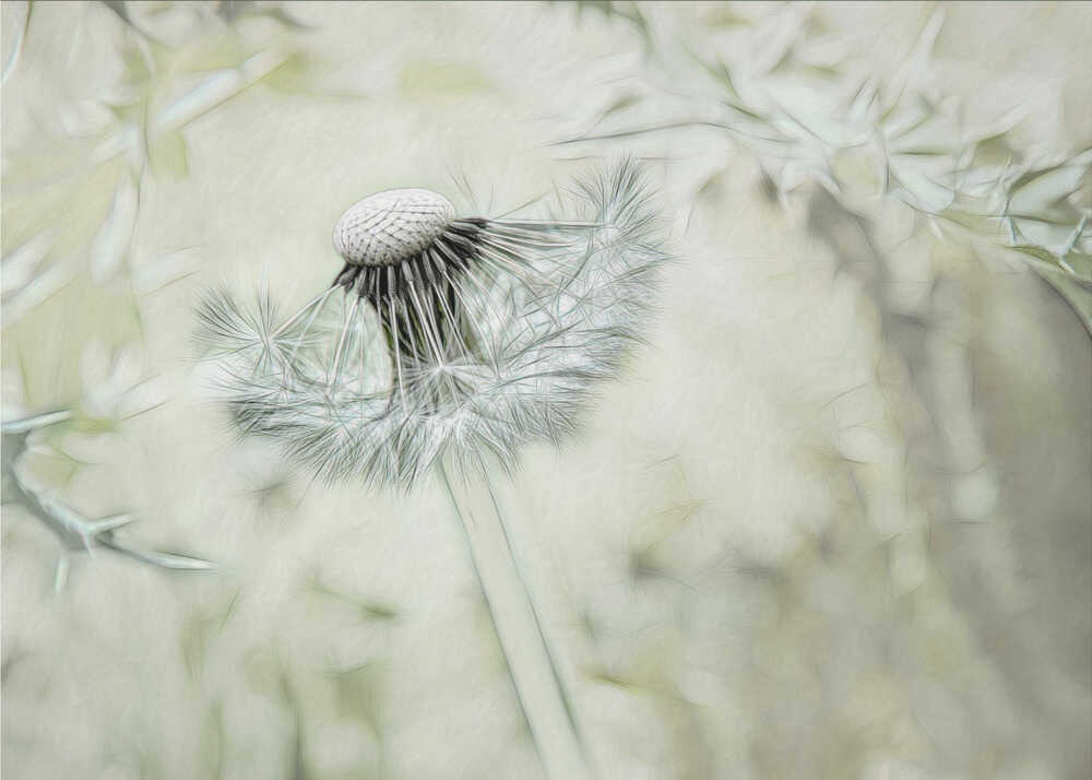 Prêt au décollage II | Toile