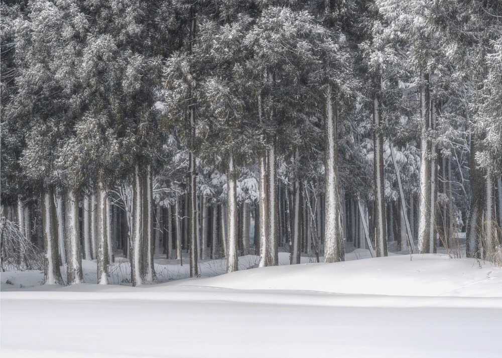 A place in a silver world | Wallpaper