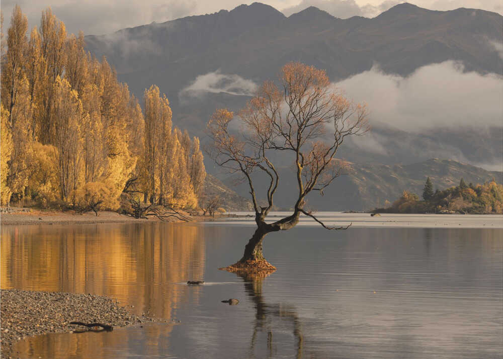 Herbst in Wanaka | Hintergrundbild