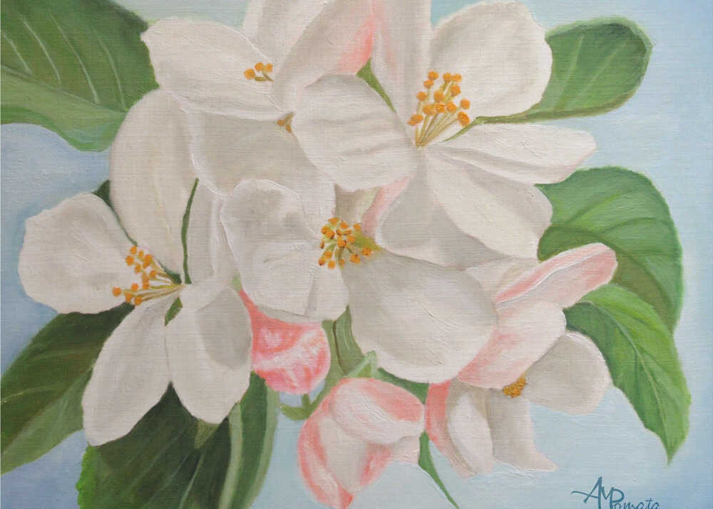 Apfelblüte | Poster