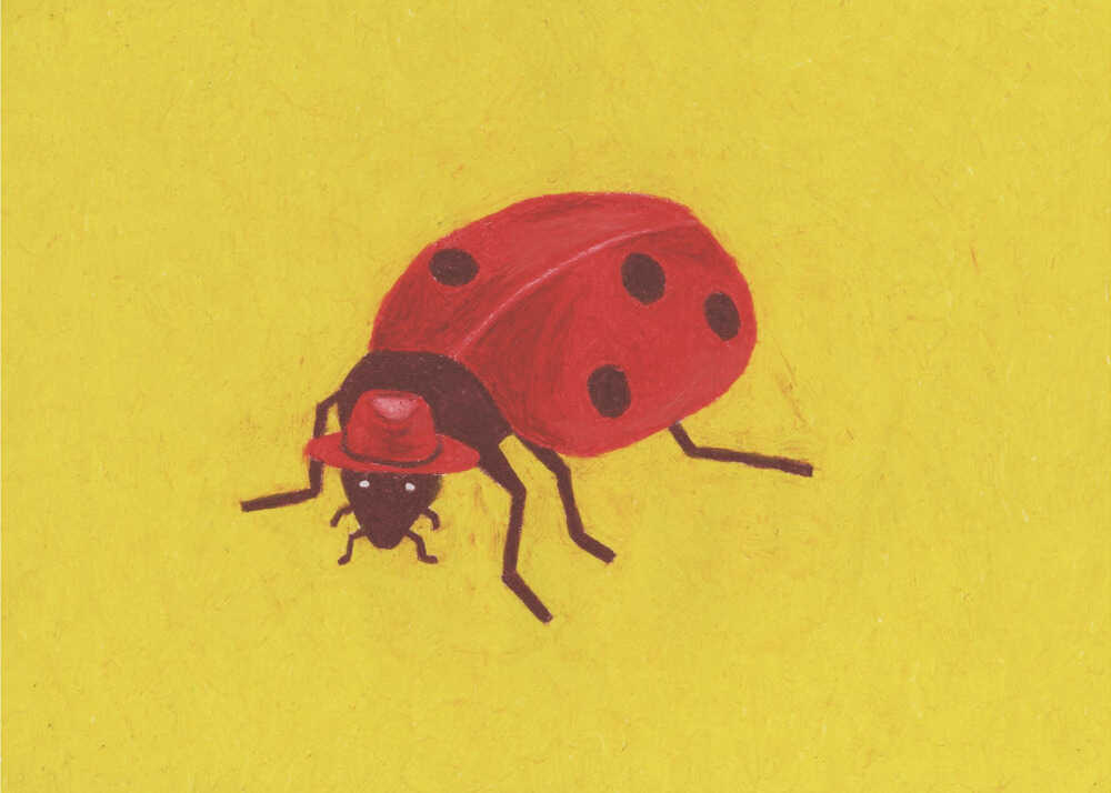 Ladybird | Poster
