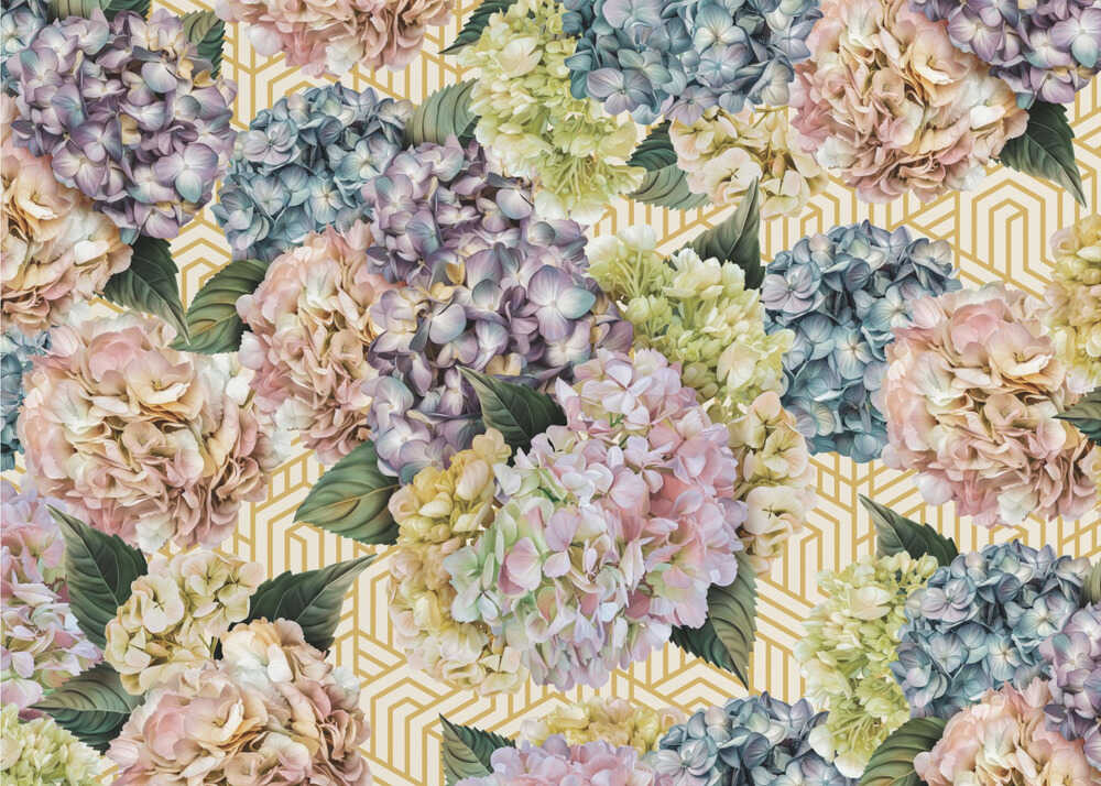 Hortensien_Goldcreme | Tapete