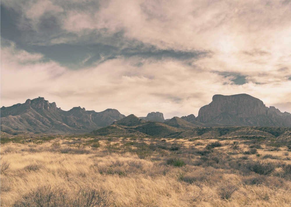 Isolation (1 of 1) | Poster